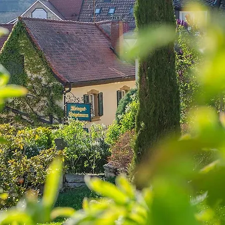 Daire Urlaub Beim Winzer - 3 Idig Meerspinne & Biengarten *