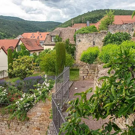 Urlaub Beim Winzer - 3 Idig Meerspinne & Biengarten Daire Neustadt an der Weinstraße