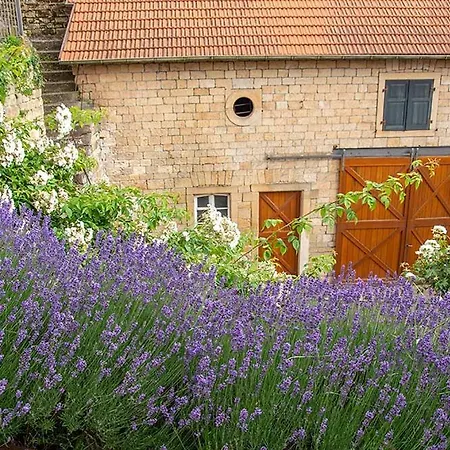 Urlaub Beim Winzer - 3 Idig Meerspinne & Biengarten Daire *