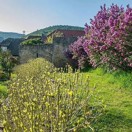 Urlaub Beim Winzer - 3 Idig Meerspinne & Biengarten Daire