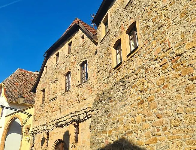 Urlaub Beim Winzer - 3 Ferienwohnungen Idig Meerspinne & Biengarten * Neustadt an der Weinstraße